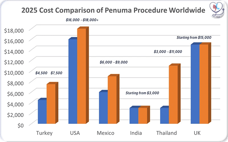 Factors Affecting Penuma Procedure Cost