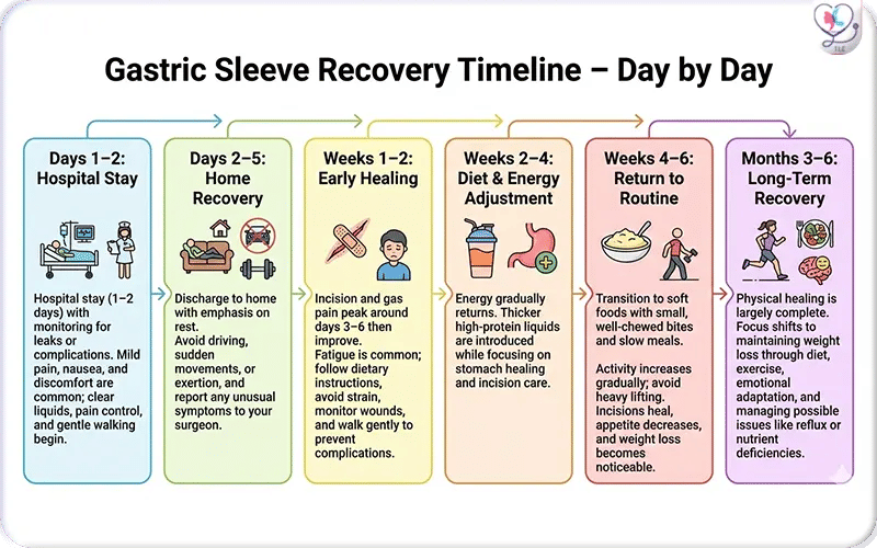 Gastric Sleeve Recovery Timeline Day by Day