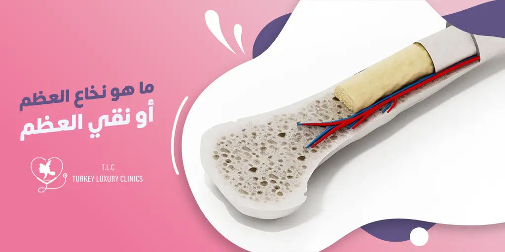 ما هو نخاع العظم أو نقي العظم؟