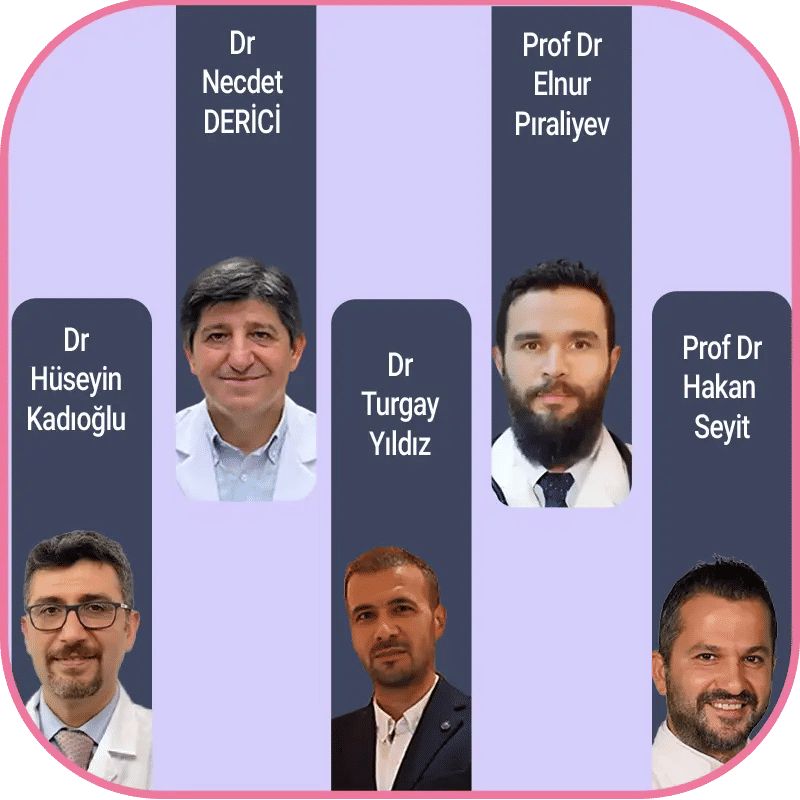 dr huseyin kadioglu - dr turgay yilziz - dr hakan seyit - prof dr elnur piraliyev - dr necdet derici