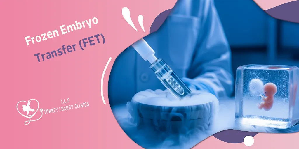 Frozen Embryo Transfer (FET): Process, Timeline, Success Rates & Why Turkey