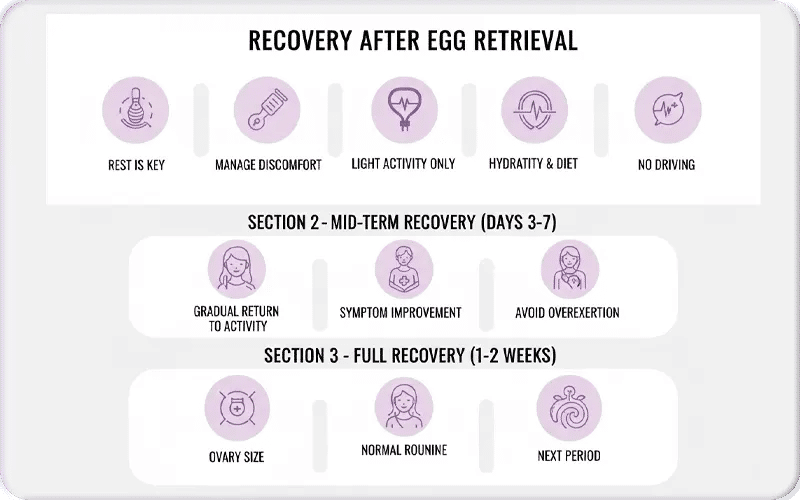 Recovery After Egg Retrieval