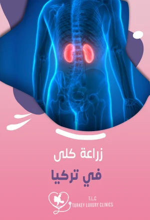 زراعة كلى في تركيا: الأسعار والخطوات في أفضل المستشفيات