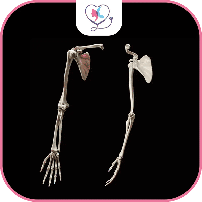 ماهي تكلفة جراحة اليد في تركيا؟