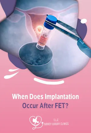 When Does Implantation Occur After FET? Timeline, Expectations, and Results
