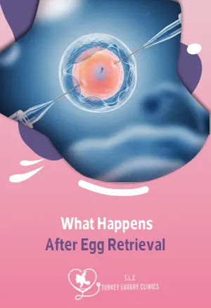 Nach der Eizellentnahme: Erholung, Symptome & IVF-Schritte