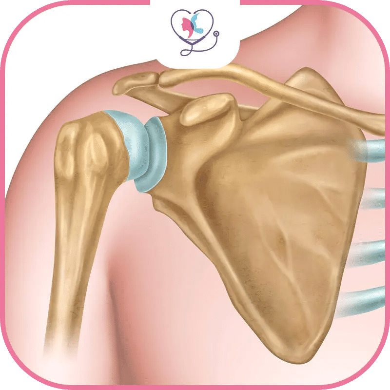 ما هي تكلفة عملية تنظير الكتف في تركيا؟