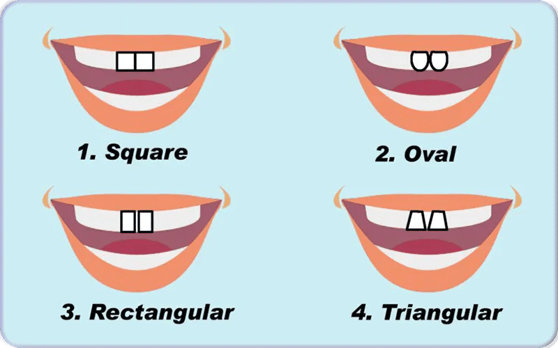 Best Tooth Shapes for Different Face Shapes