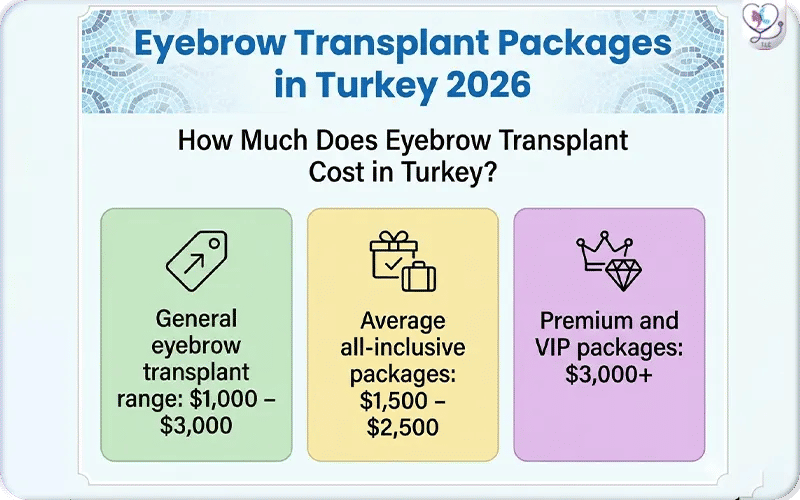 How Much Does Eyebrow Transplant Cost in Turkey?
