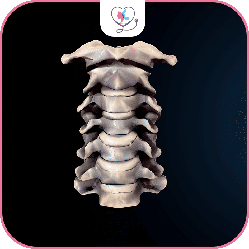 استبدال القرص الفقري في تركيا