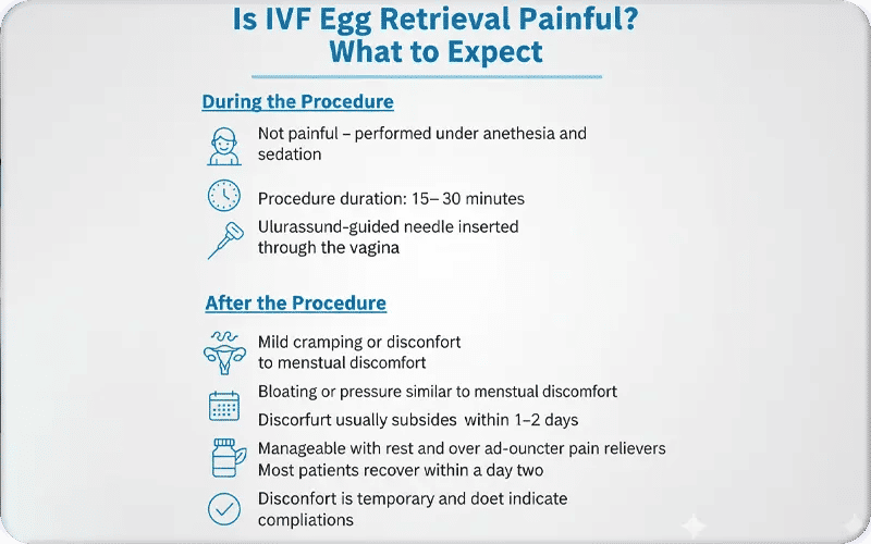 Is IVF Egg Retrieval Painful? What to Expect