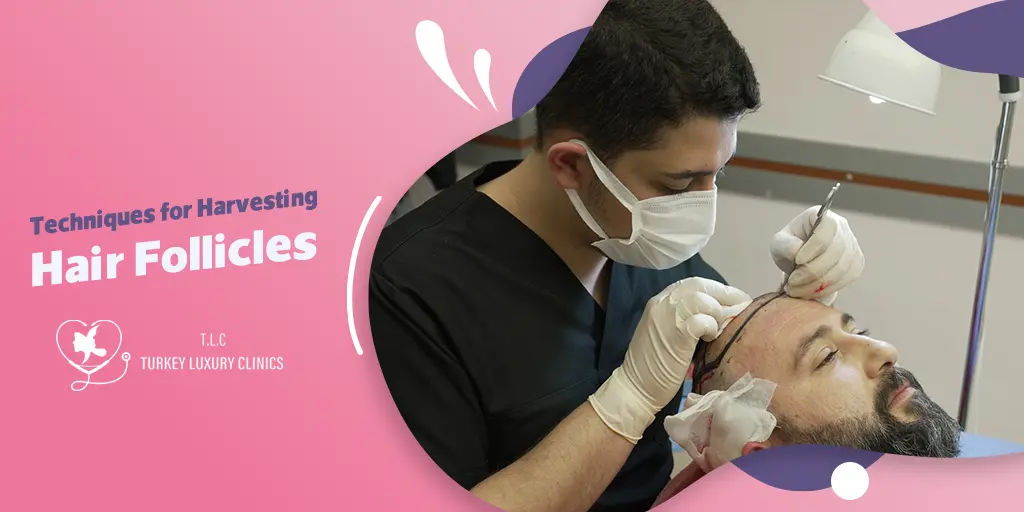Techniques for Harvesting Hair Follicles