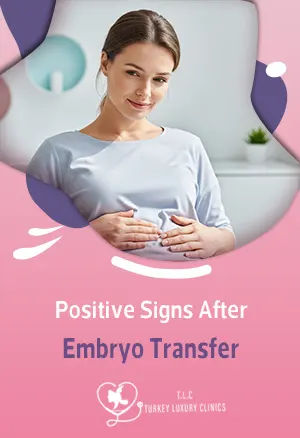 Positive Signs After Embryo Transfer: Early Pregnancy Clues