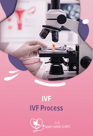IVF Process: Step by Step Cycle, Stages and How It Works