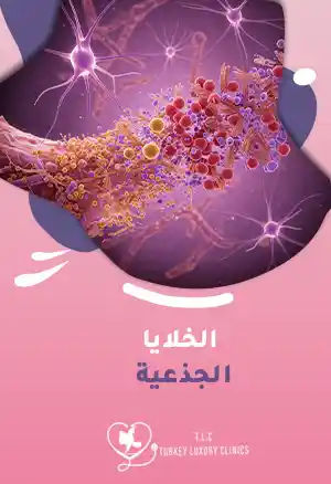 الخلايا الجذعية: ما فوائدها وكيف تُستخدم في الطب الحديث؟