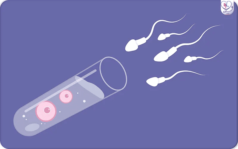 Taux de réussite de l’insémination artificielle au 1er essai