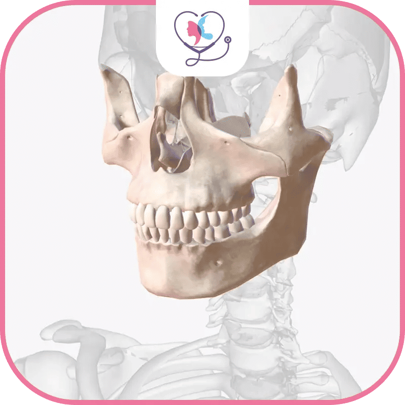 سادساً: استخدام التقنيات المتقدمة