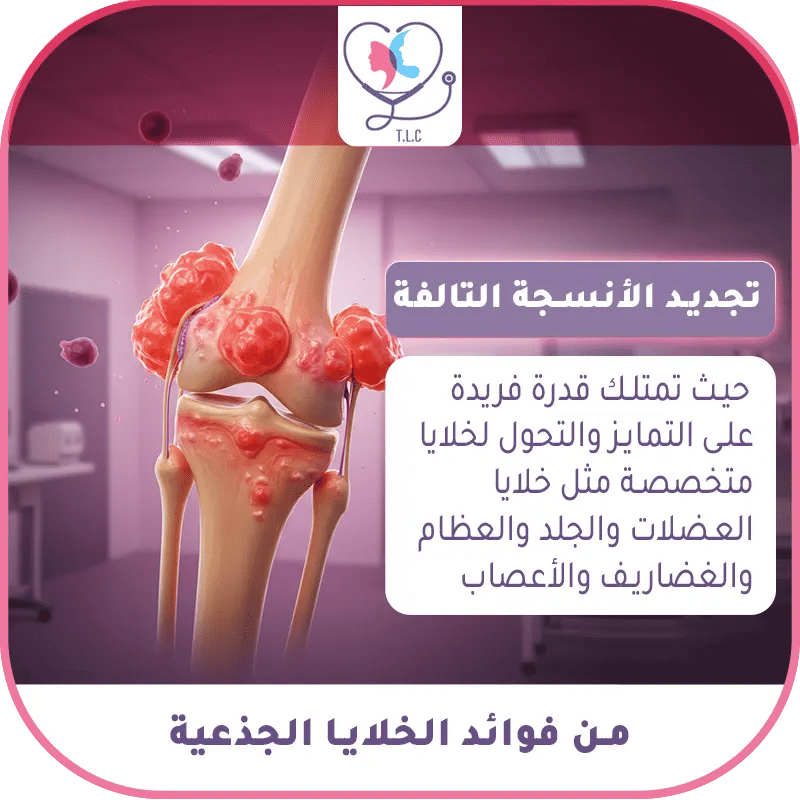 الخلايا الجذعية