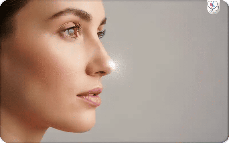 ماهي أرنبة الأنف؟