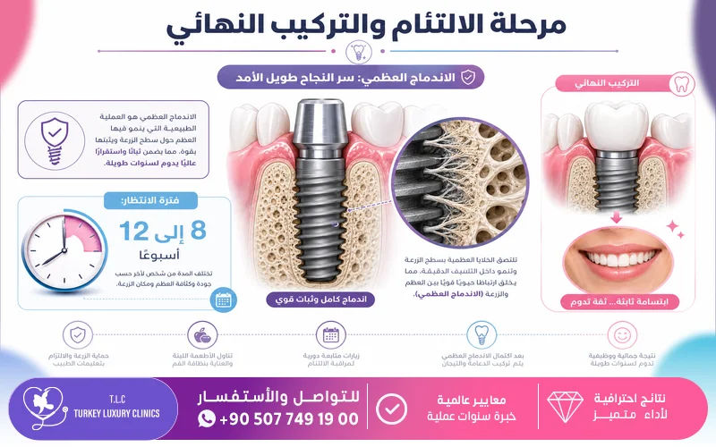 مرحلة الالتئام والتركيب النهائي
