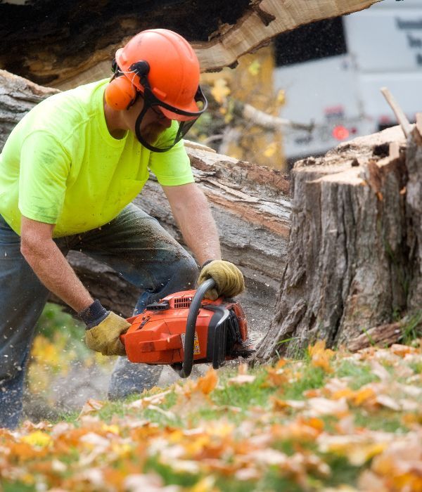 Tree Services in Slidell, LA