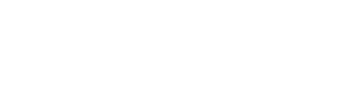 ECOSOCC Logo