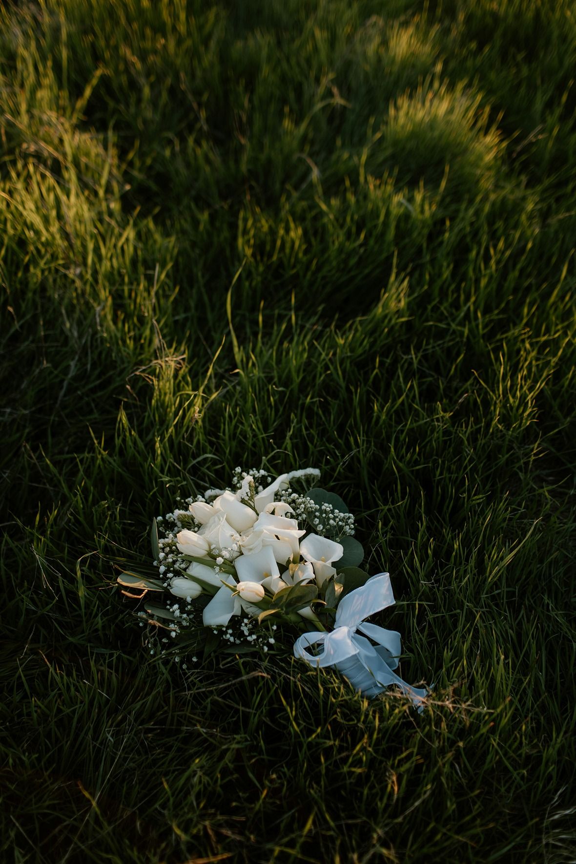 stephanie-hernandez-VuVfmE-s2Ys-unsplash srcset="https://ik.imagekit.io/0yqenlsir/wp-content/uploads/2025/01/stephanie-hernandez-VuVfmE-s2Ys-unsplash.jpg?tr=w-32,h-48