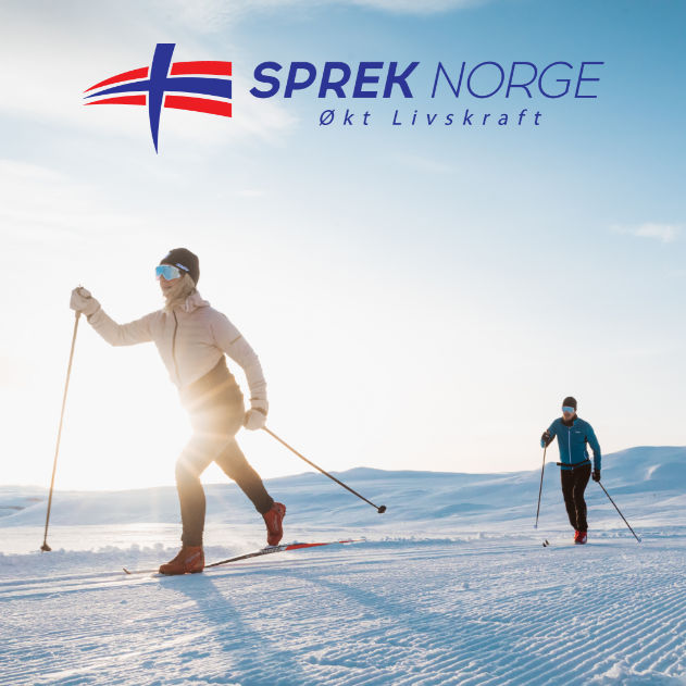 SkiCamp