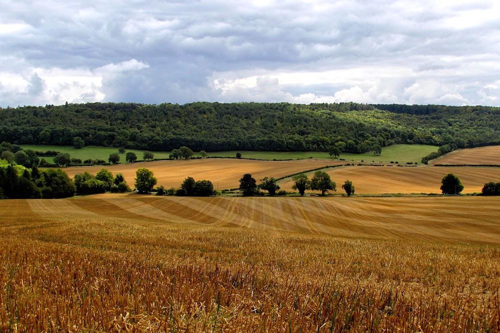 The Countryside Code - country walking