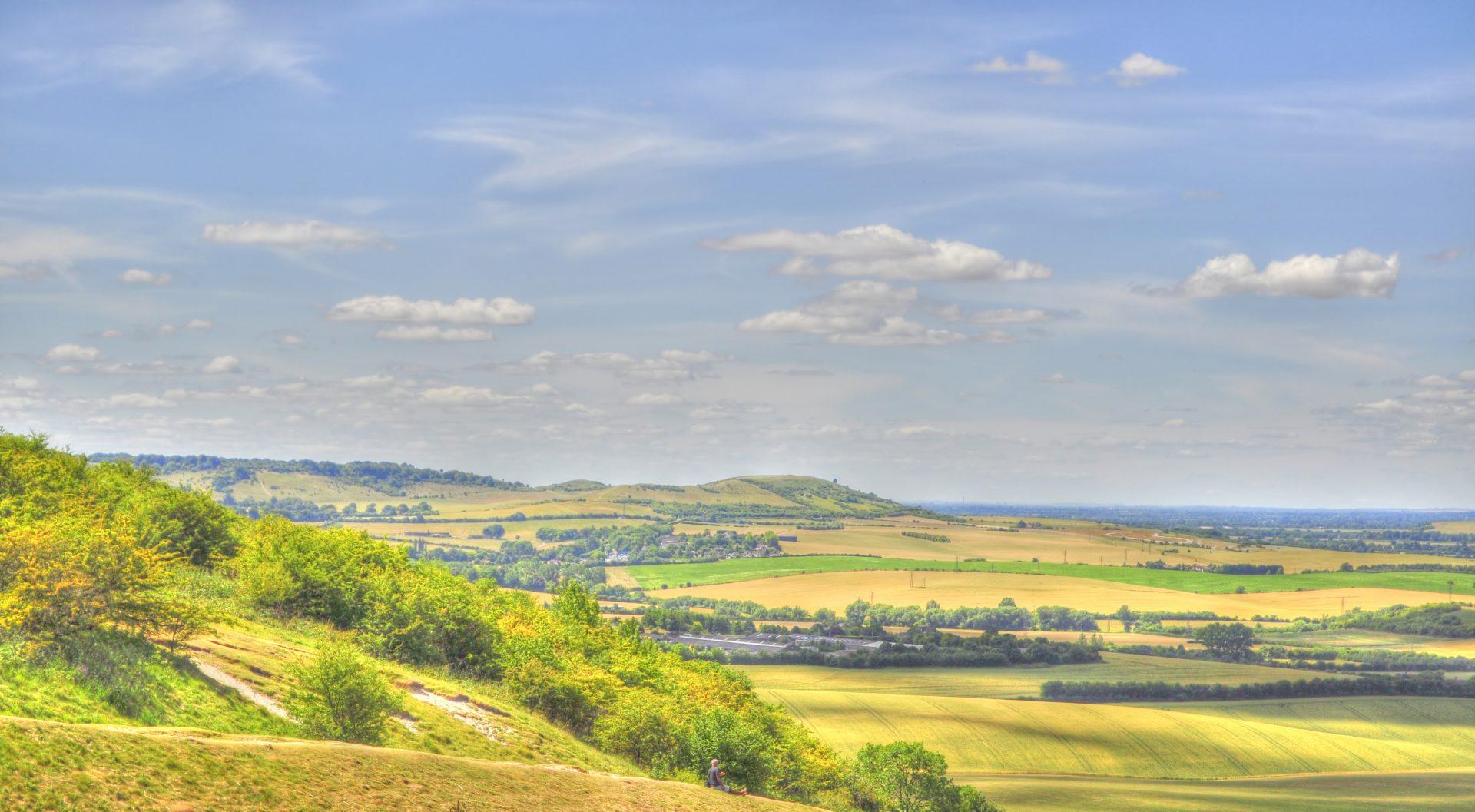 Dunstable Downs
