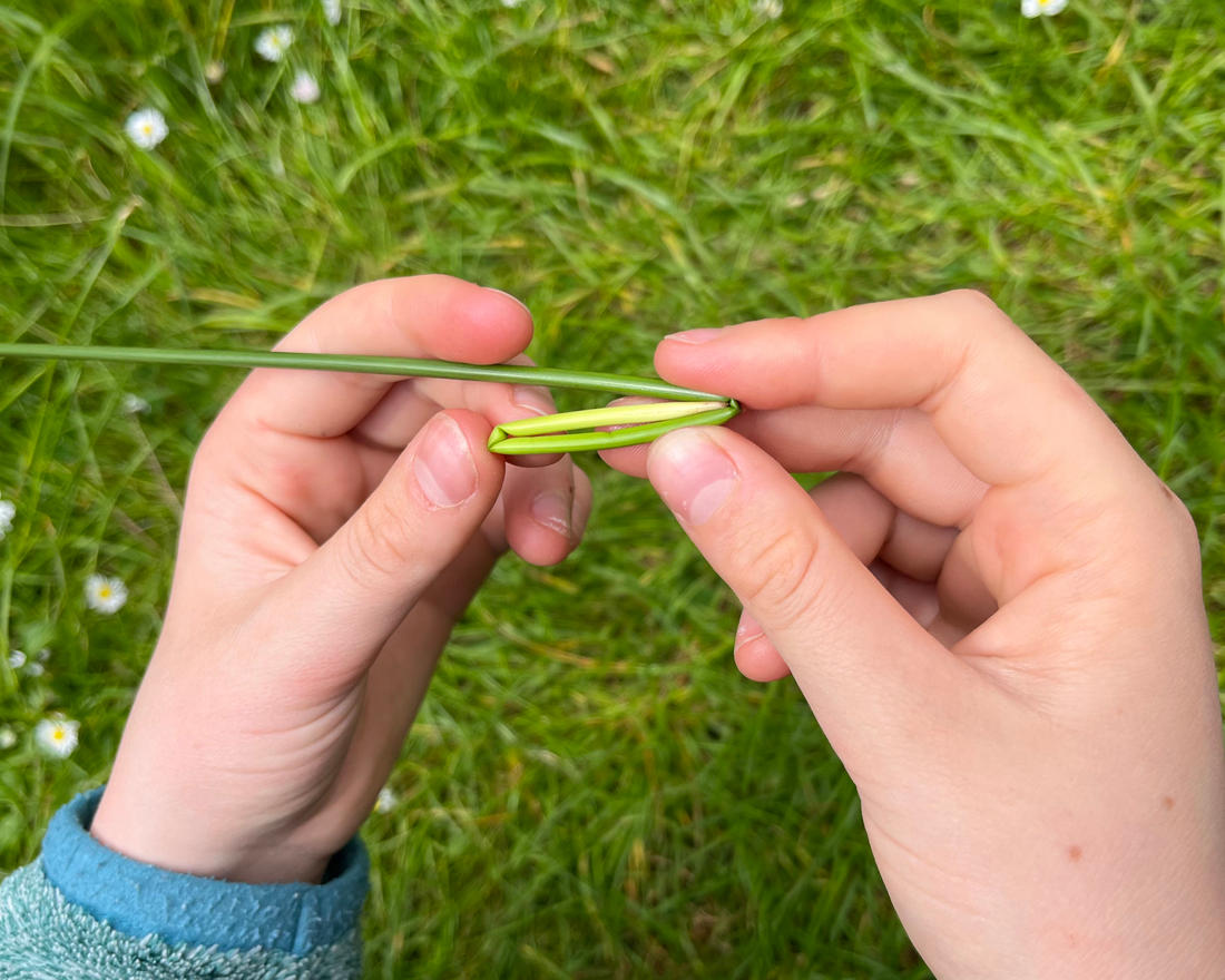 outdoor activities