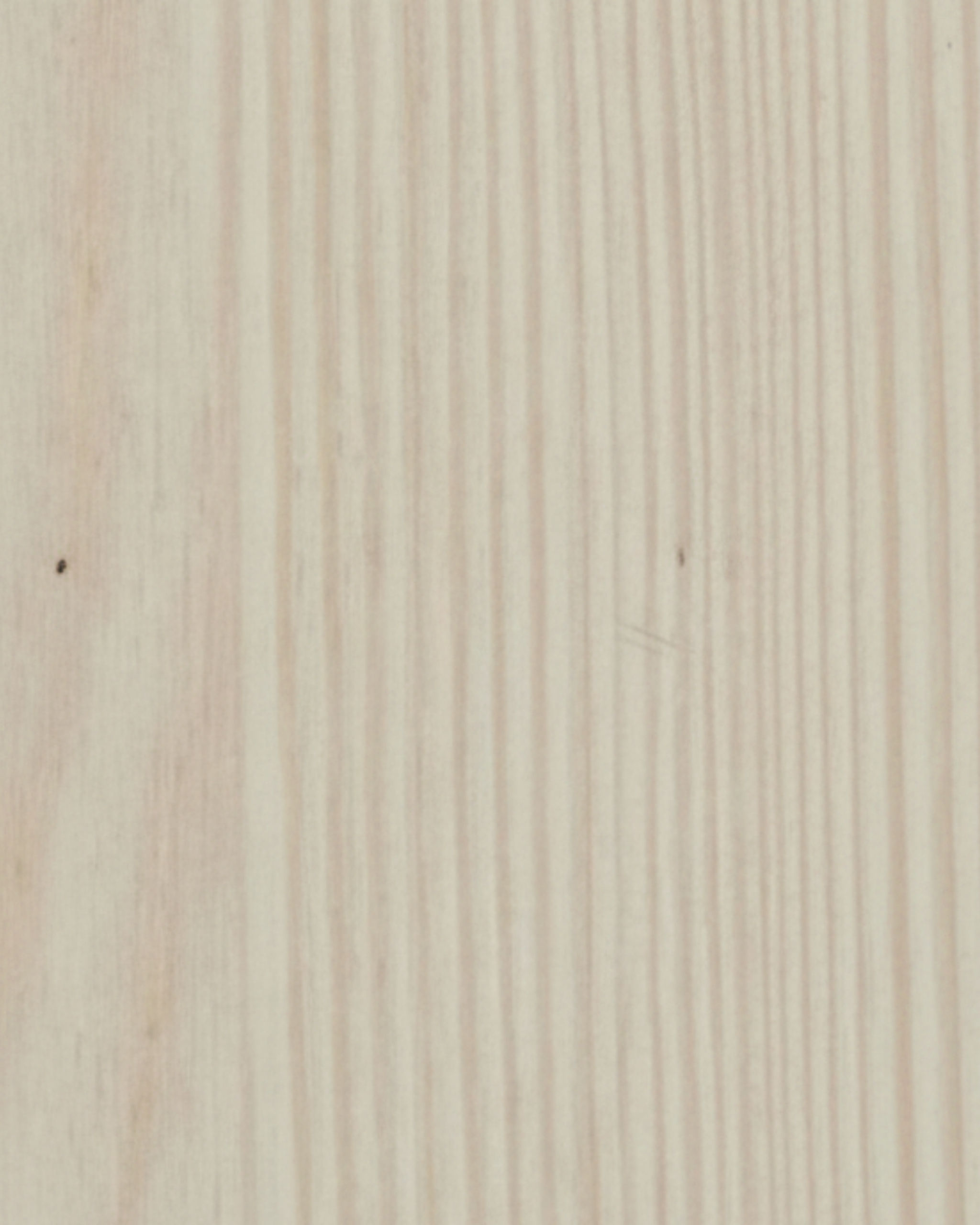 White Pine FX31058