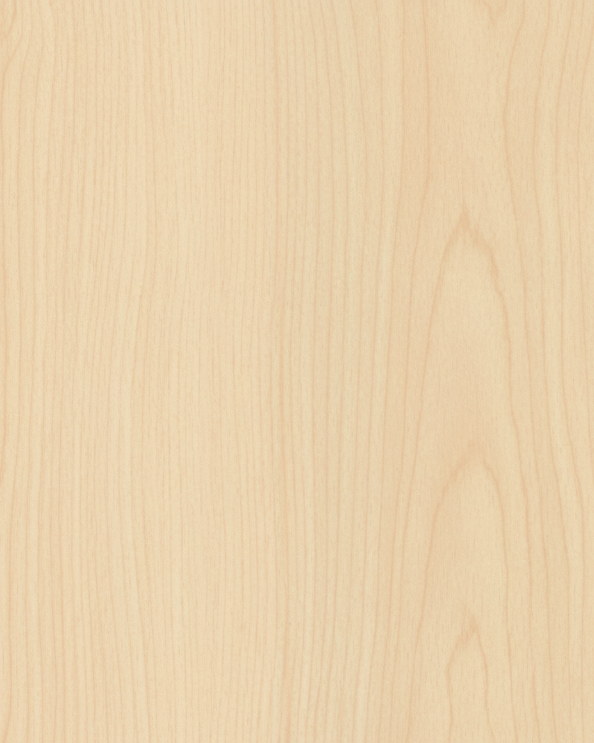 Maple FX31078