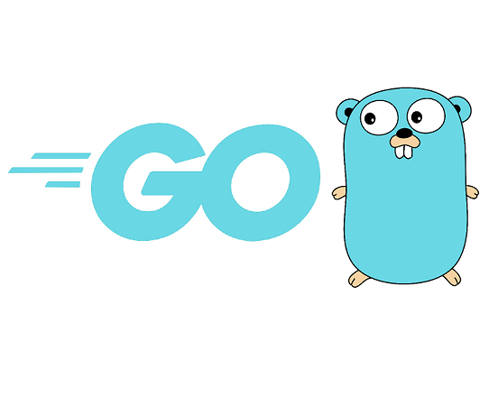 golang-development-company