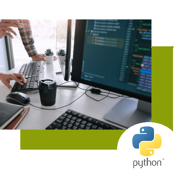 python development services