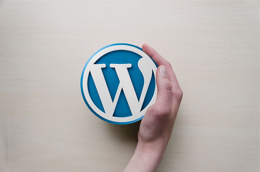 wordpress development company in india