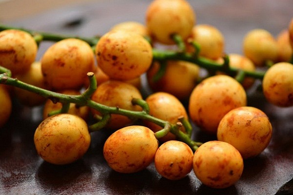 Buah kemundung merah