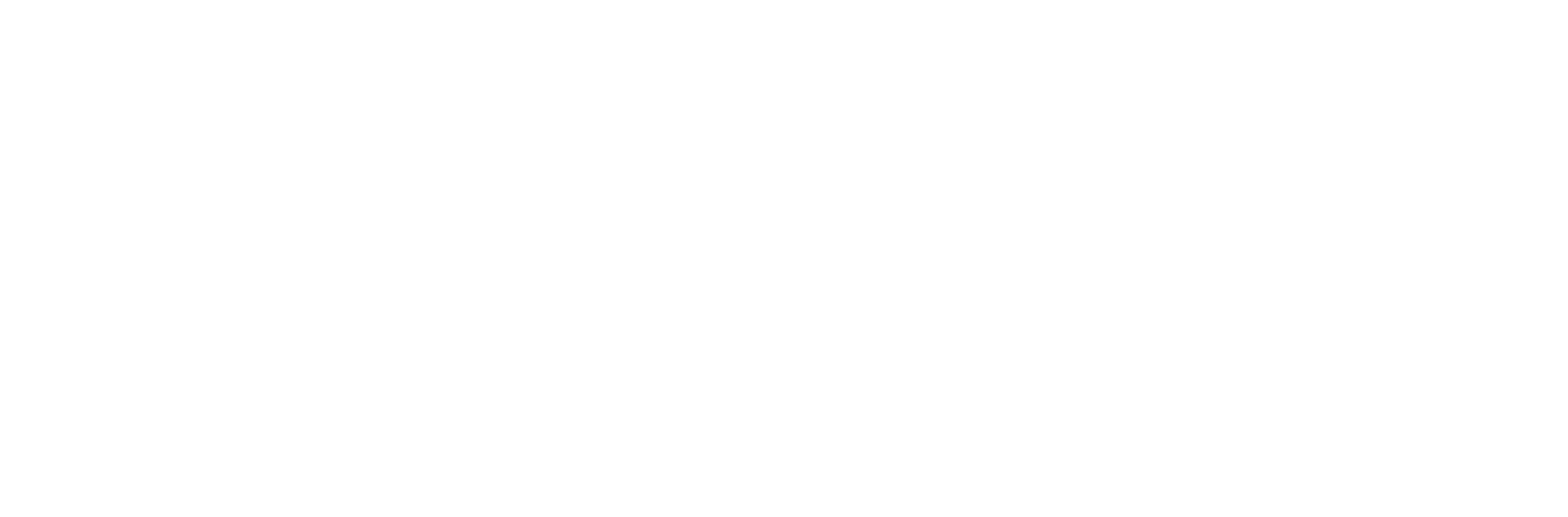 True Translate Footer Logo