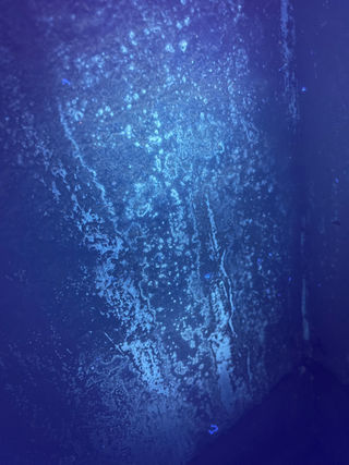 Ultraviolet inspection revealing biological contamination that may not be visible under normal lighting. Advanced inspection methods improve the accuracy of our assessments.