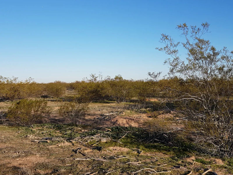 Making the Desert Bloom