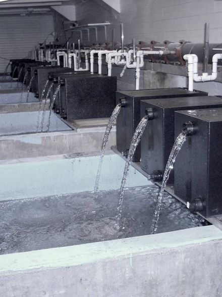 Redd Zone hatchery equipment