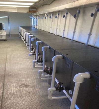 Fish hatchery operations