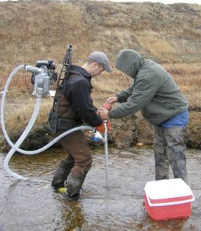 Field conservation work