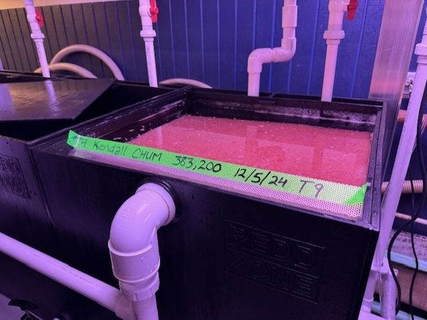 Reddzone facility in Astoria, Oregon