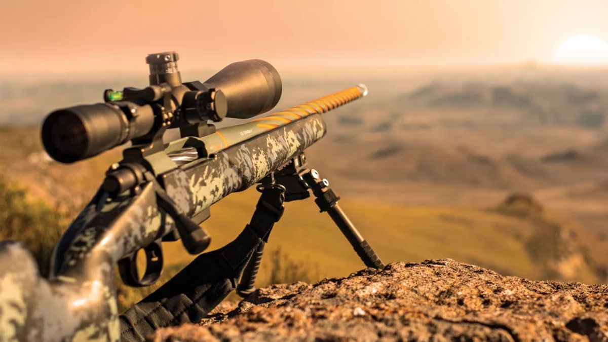 Rifle in desert