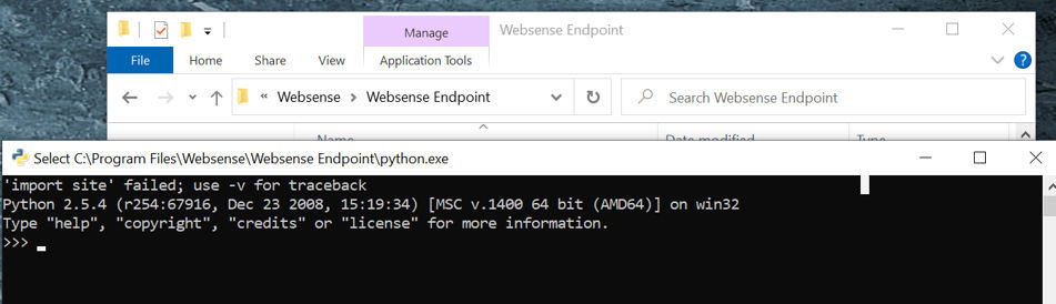 A tale about a Red Team exercise and the Forcepoint Endpoint One DLP client