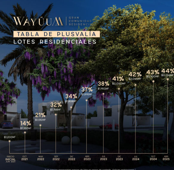 Gráfico ascendente con una flecha verde que ilustra el crecimiento de la plusvalía y el retorno de inversión (ROI) en la costa de Yucatán. Simboliza el potencial financiero de una inversión inmobiliaria inteligente en Wayúum.