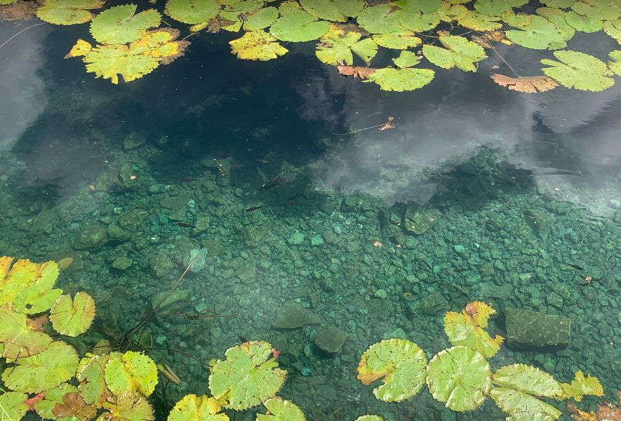 Tabla de datos sobre el impacto económico o social del Cenote Xlacah en la región