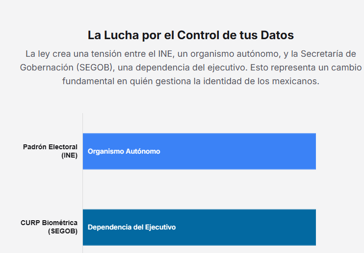 Iconos que representan los elementos de seguridad de la CURP biométrica, como huellas dactilares.