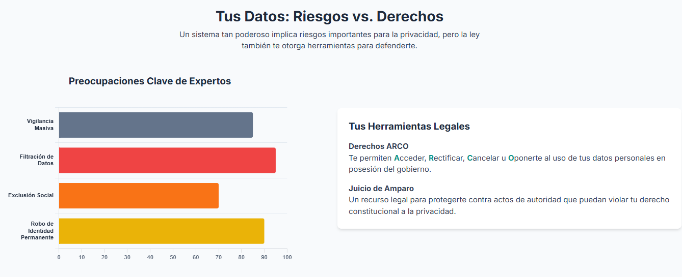 Iconos que representan los elementos de seguridad de la CURP biométrica, como huellas dactilares.